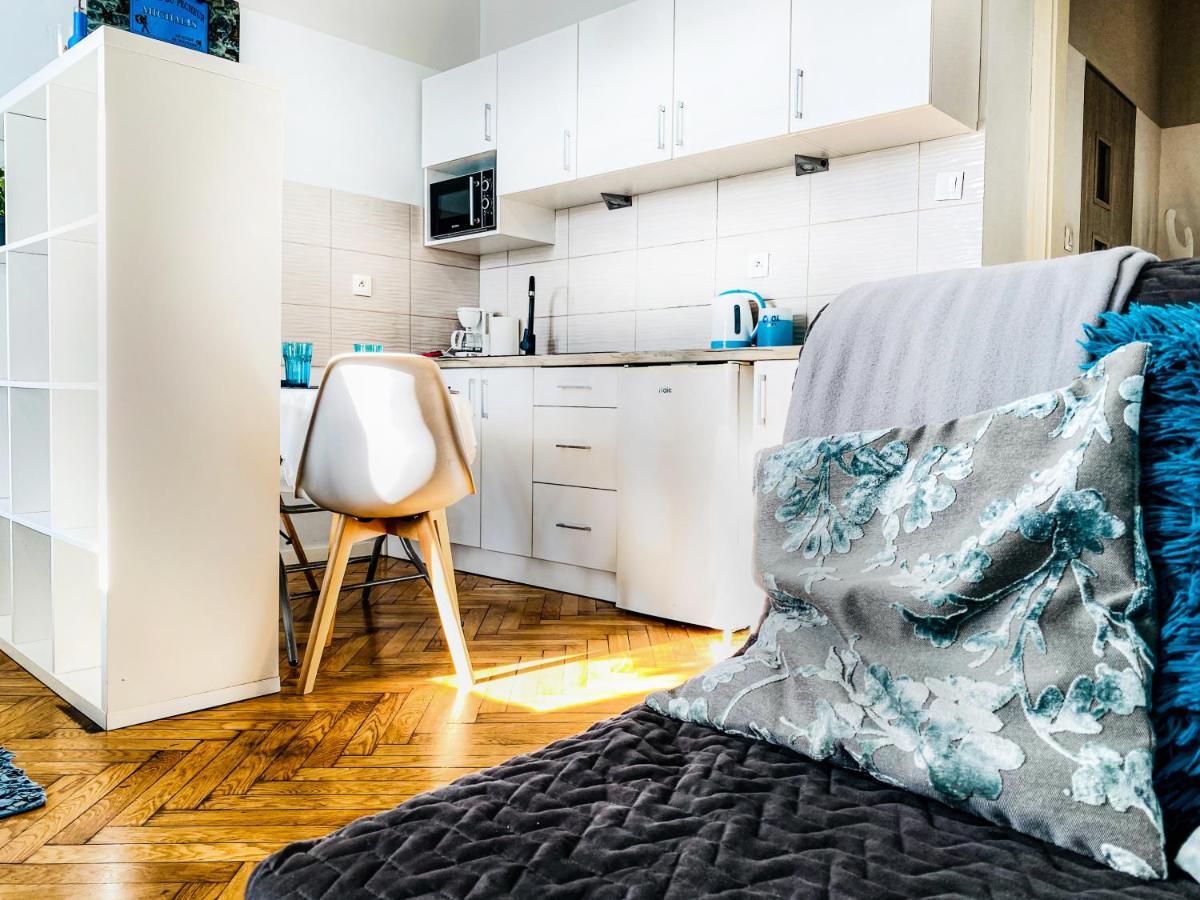 Apartment Next To Wawel Castle, Vistula River & Old Town Cracow Krakow Dış mekan fotoğraf