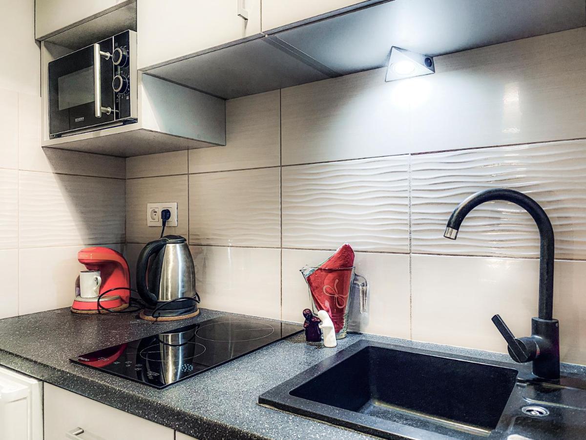 Apartment Next To Wawel Castle, Vistula River & Old Town Cracow Krakow Dış mekan fotoğraf